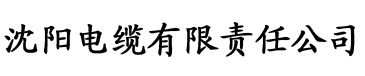 亚洲精品一区二区三区在质电缆厂logo